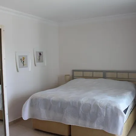 Olive Apartment